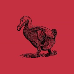 les dodos