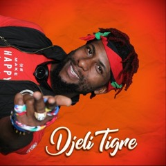 Djeli (Jaye-Lee) Tigre