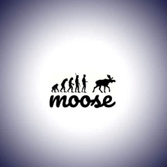 tt_moose_tt