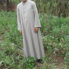 User 533387208