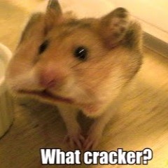 What Cracker taylor