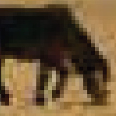 Eleuth