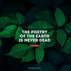 Nguyễn Đặng Duy Quang