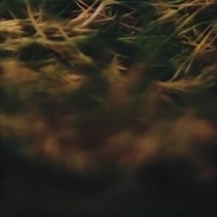 Neirol