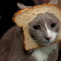 duhdeeG.E.C.inntheetrees