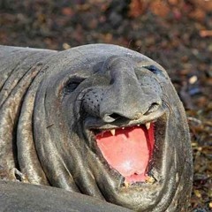 Chance the rapper2.0