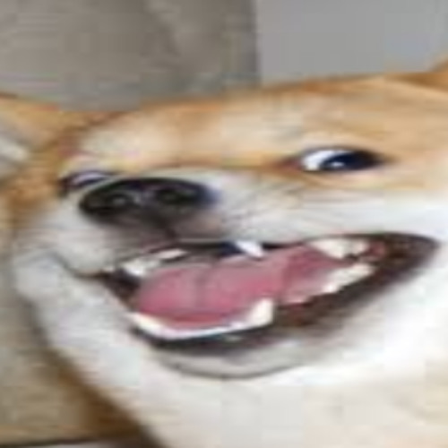 Stream Very Angrey Doge Music Listen To Songs Albums Playlists For Free On Soundcloud - roblox doge profile