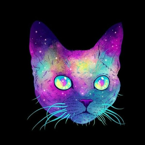 kitty.ivi’s avatar
