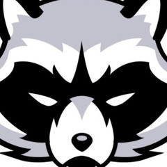 NinjaRaccoon 64