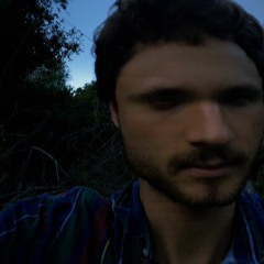 vves