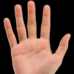 The Hand