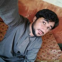 Shigri