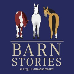 Barn Stories