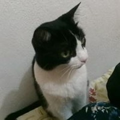Lu An