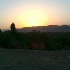 Mahdi .H