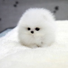 ItsMeCorinthia