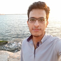 Alaa Masoud 2