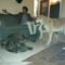 sayed ouda