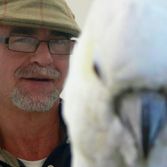 Luis Fernandez