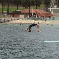 ROBBO FLIPS