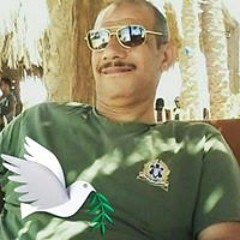 إبراهيم رزق