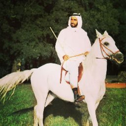 Хаади дзен жена арабского принца