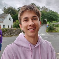 tomfinet