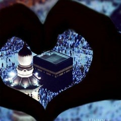 shahenda.hammad