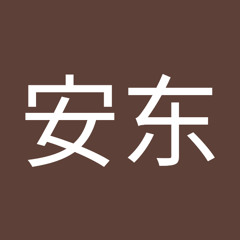 王安东
