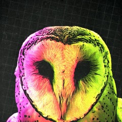 FRENCHOWL