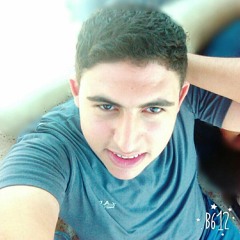 Mahmoud Mostafa Elhakem