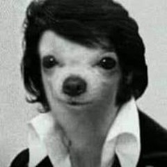 Mazzy Killerax