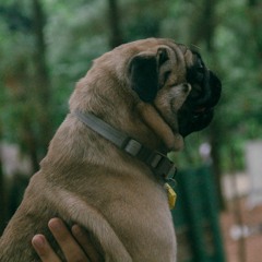 TruongHoangNin