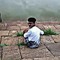 vishnu