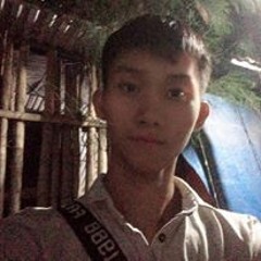 Hồng Còii