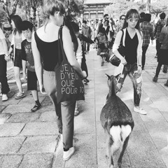 Diane Groisard Guiton