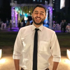 Mina Esam 1