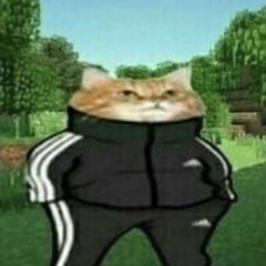 Zelda Saria's Song (Cat Version)