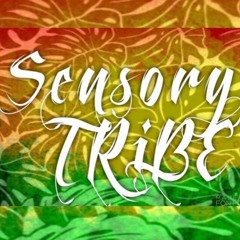 Sensory TRiBE