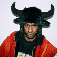 Punani D£stroyer