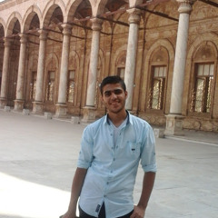 محمد المصري