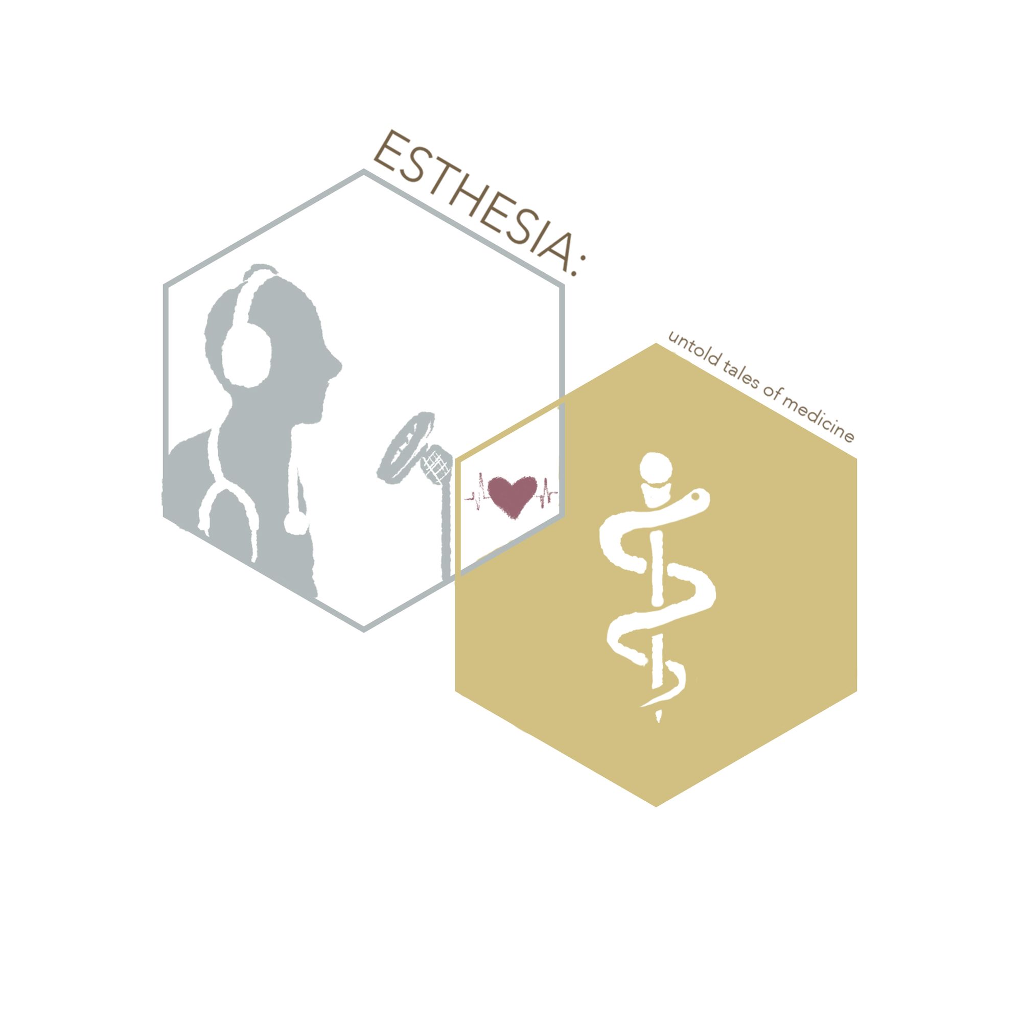 Esthesia: Untold Tales in Medicine