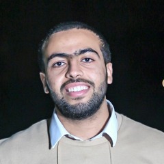 Mohamed Abdelfattah