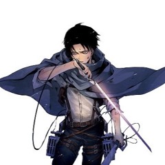 Levi