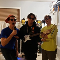 The Raccoons
