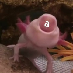 A l i a