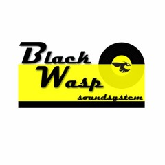 DJ Tommy T & DJ Slim - Black Wasp Int'l