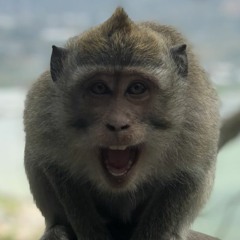 LostOnTheIsleOfWight