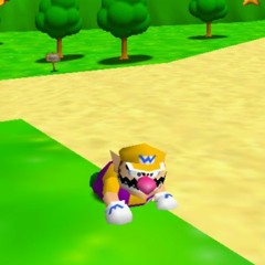 Wario Goes To Florida