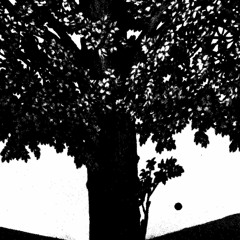 d i s o l u t a 𓁼